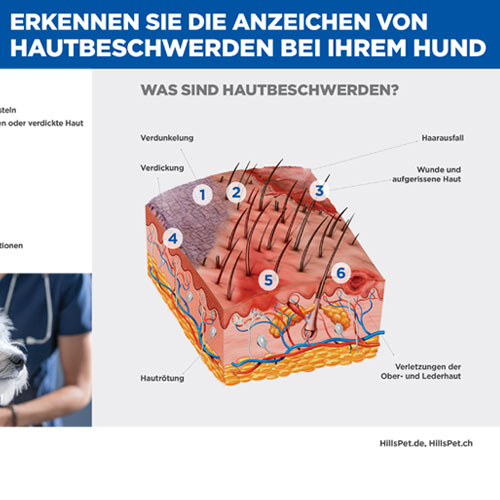 Behandlungskarte & 3D Hautmodell