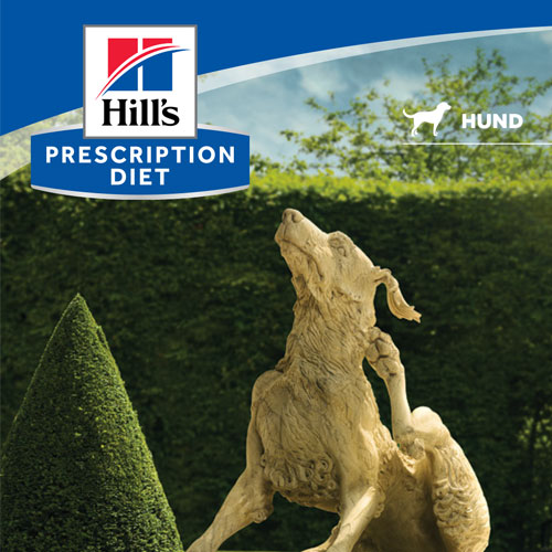 Tierbesitzerbroschüre Hund