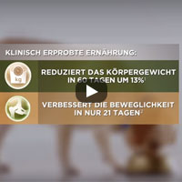 Video Metabolic + Mobility