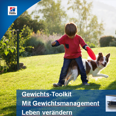 Empfehlungen zum Erreichen des Normalgewichts