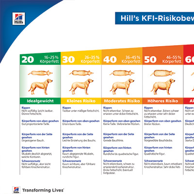 KFI Risikobewertung für Hunde