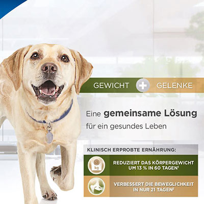 Produktinformationen Metabolic + Mobility