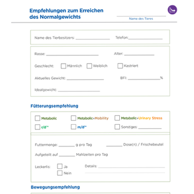 Empfehlungen zum Erreichen des Normalgewichts