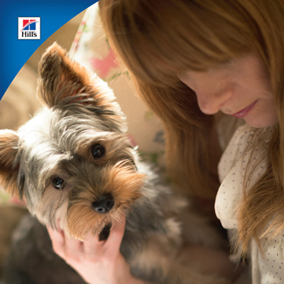 Empfehlungen zum Erreichen des Normalgewichts