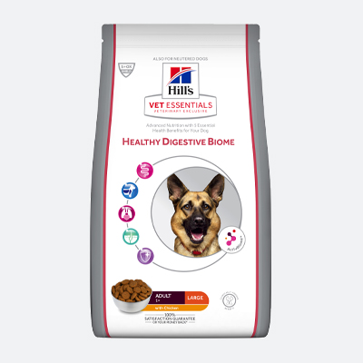 Vet Essentials Healthy Digestive Biome Large TROCKENFUTTER FÜR HUNDE