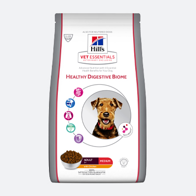 Vet Essentials Healthy Digestive Biome Medium TROCKENFUTTER FÜR HUNDE