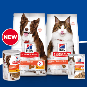 SP Perfect Digestion Broschüre für Tierbesitzer