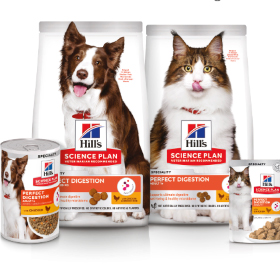 SP Perfect Digestion Infomaterial