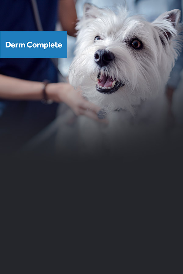 Derm Complete honden