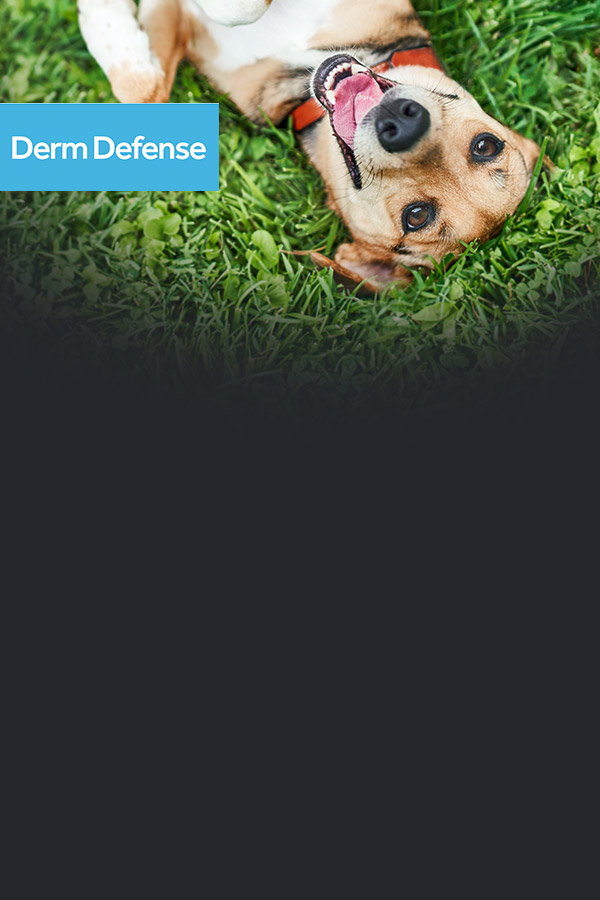 Derm Defense honden