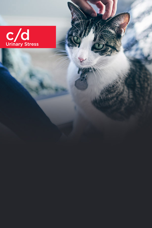 c/d Urinary Stress