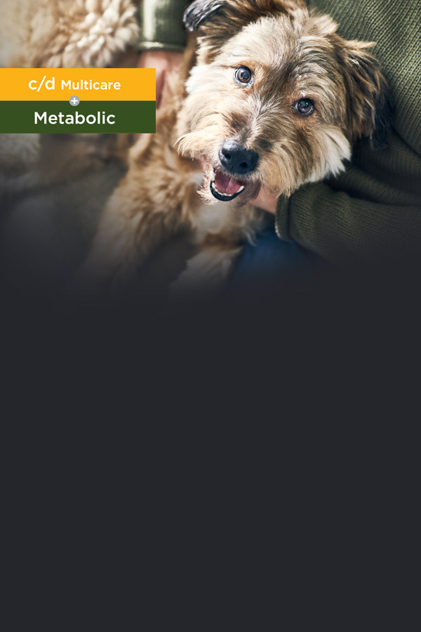 c/d Multicare + Metabolic canine