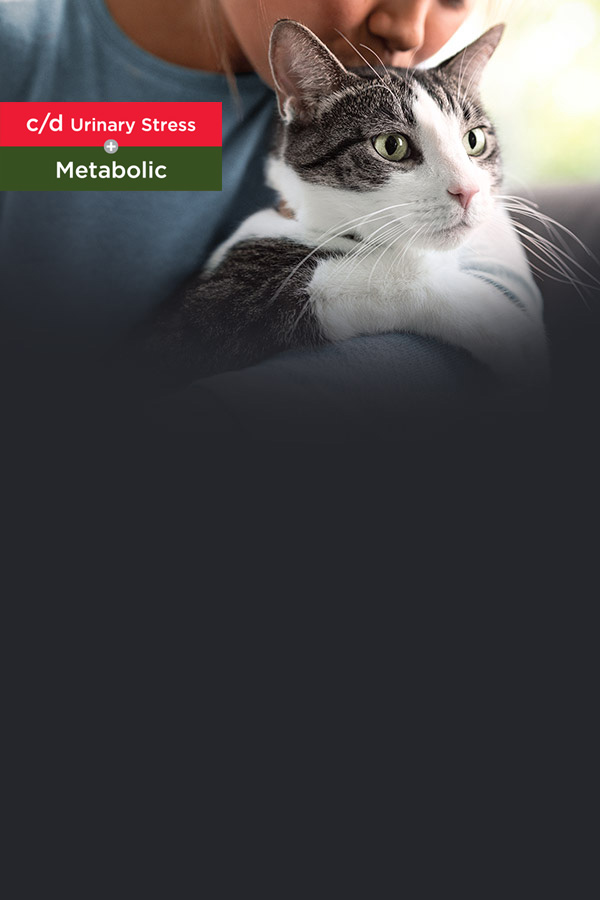 c/d  Urinary Stress + Metabolic cat